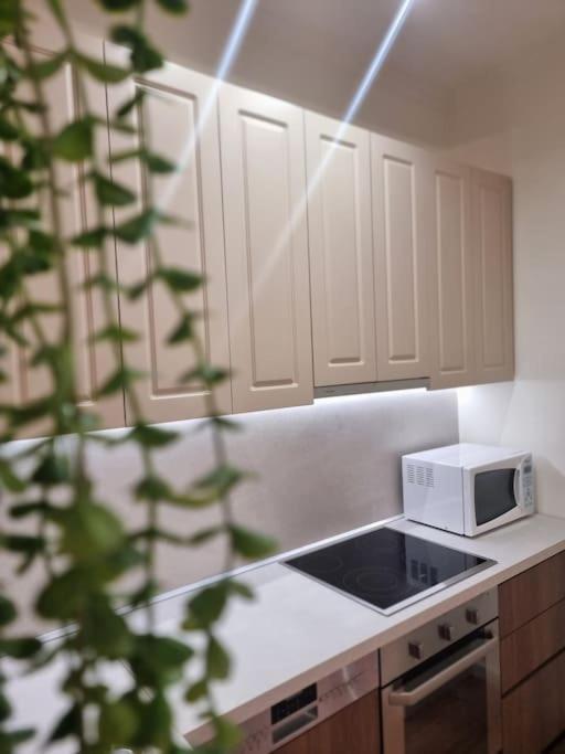 Apartament Viki's Wlora