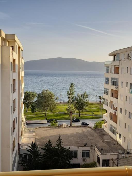Viki's Vlore