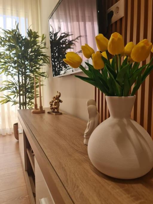 Apartament Viki's *
